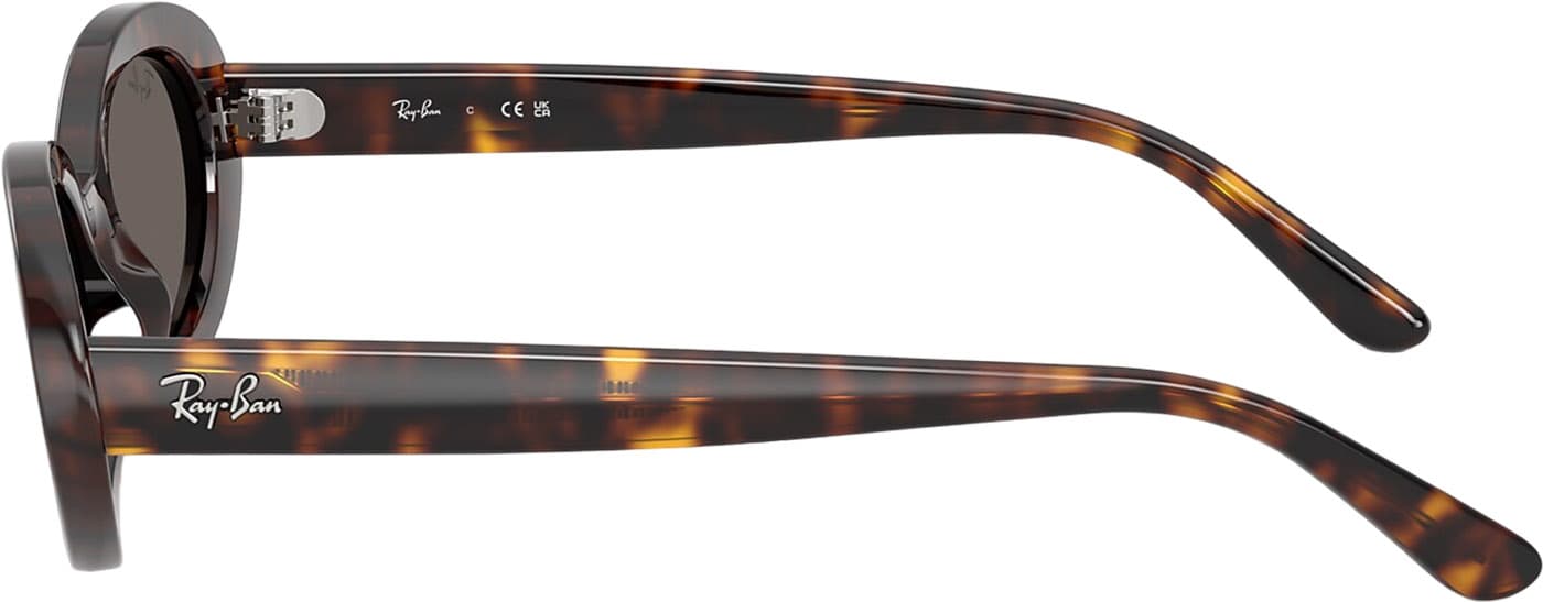 Product gallery image number 5 for product RB2223 Sunglasses - Polished Havana - Dark Grey Lens - Women's