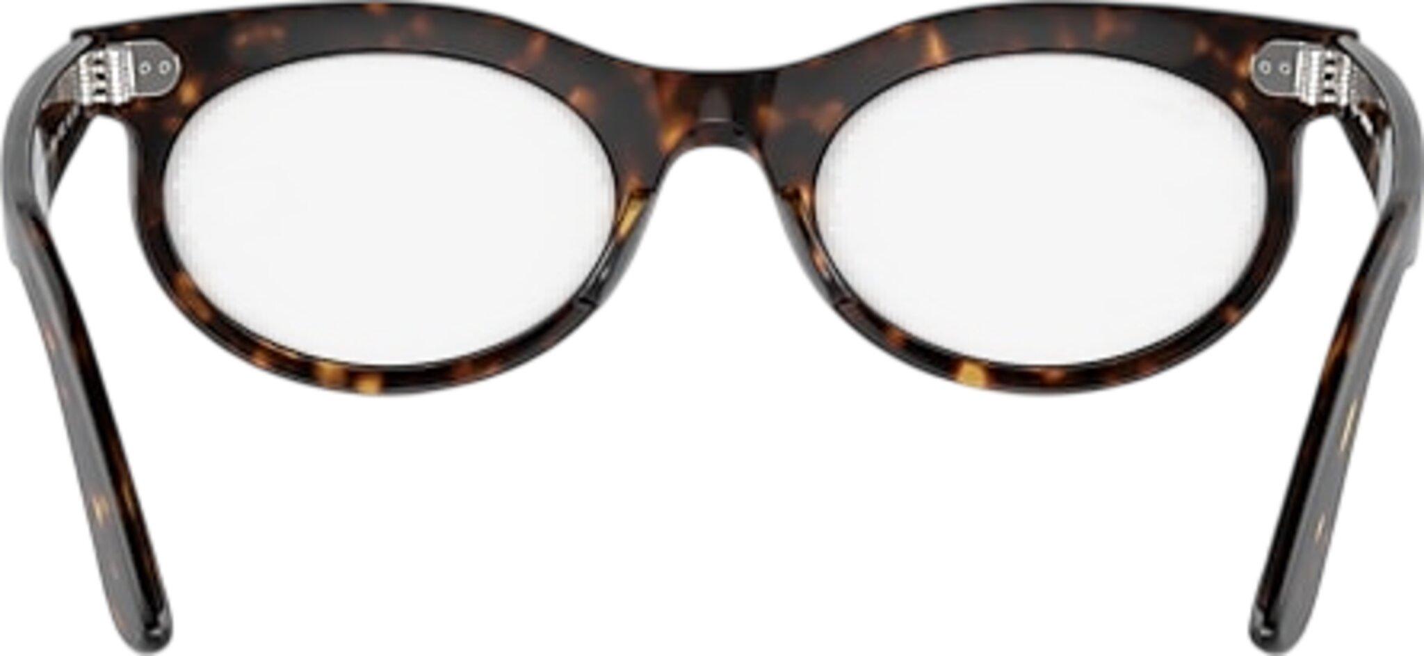 Product gallery image number 4 for product Wayfarer Oval Transitions Sunglasses - Unisex
