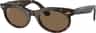 Colour: Havana - Transition Brown