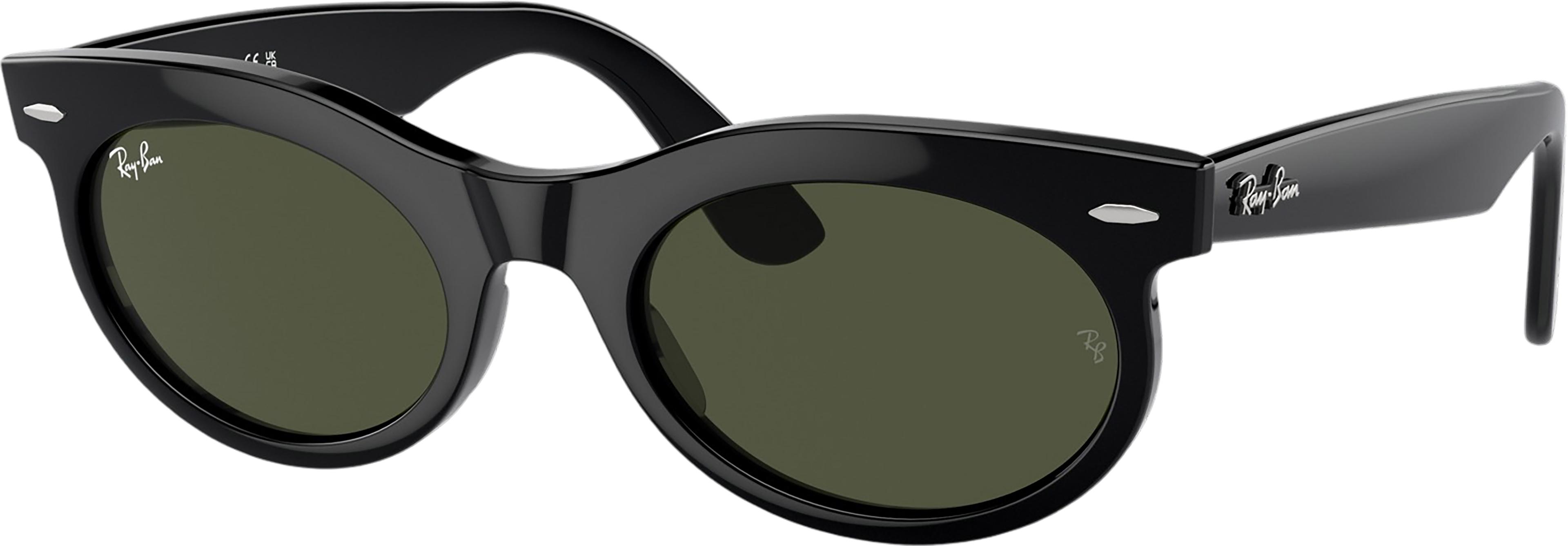 Product image for Wayfarer Oval Sunglasses