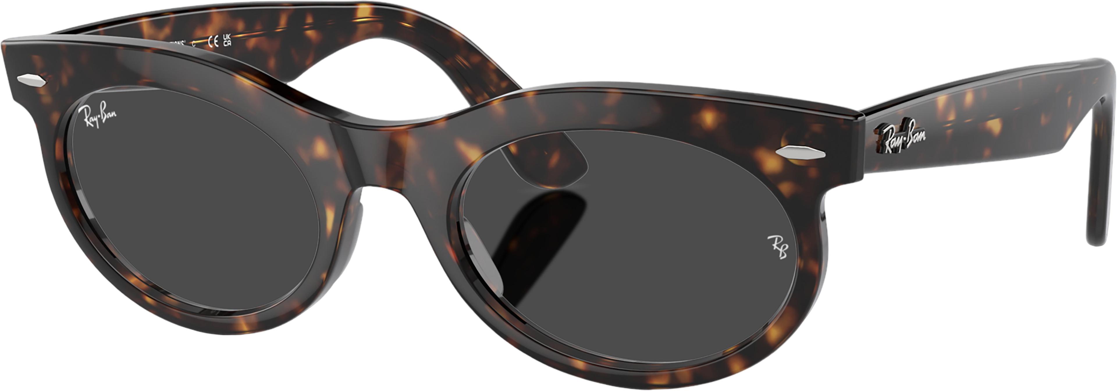 Product image for Wayfarer Oval Transitions Sunglasses - Unisex