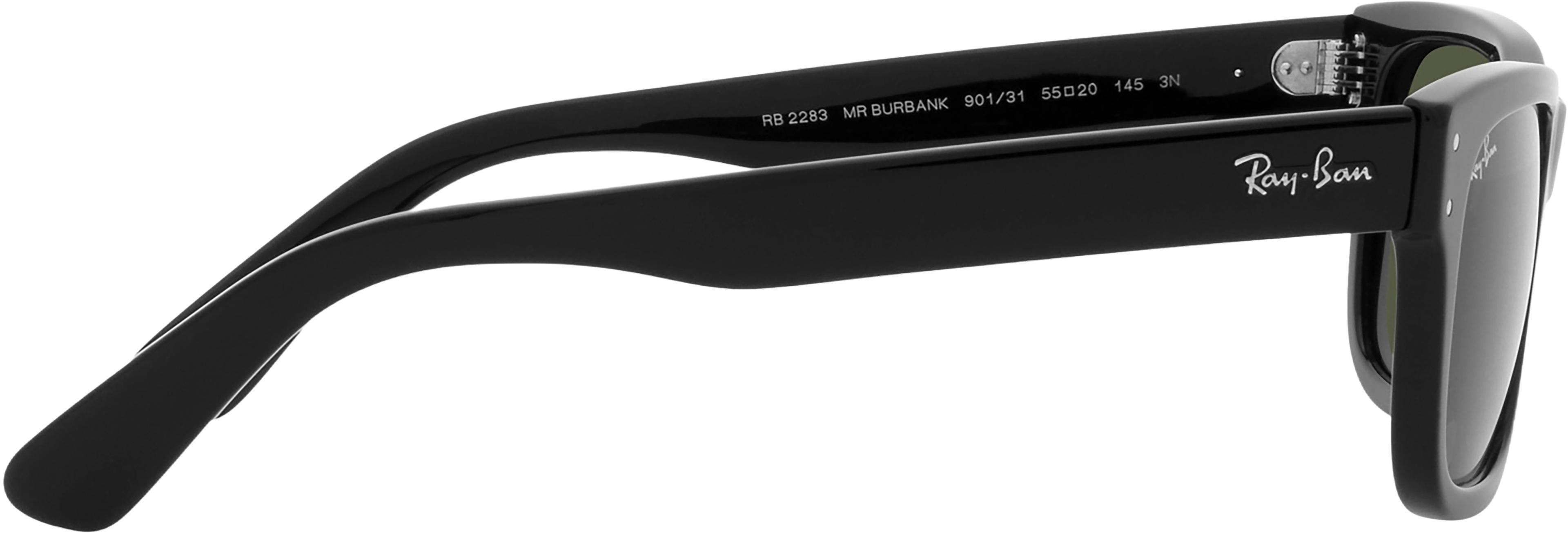 Product gallery image number 4 for product Burbank Sunglasses