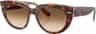 Couleur: Light Havana On Transparent - Clear Gradient Brown