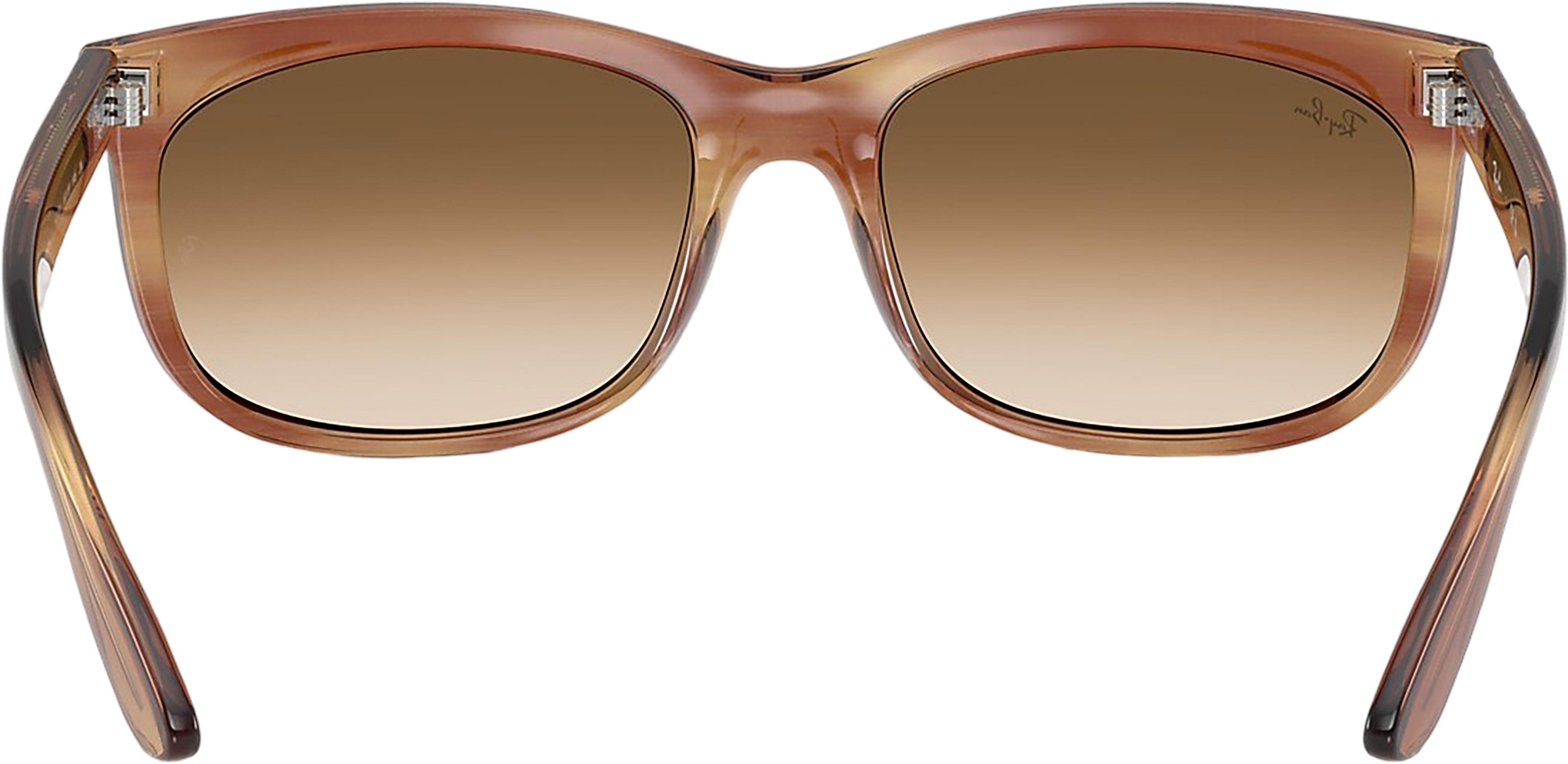 Product gallery image number 3 for product Balorette Sunglasses - Polished Striped Brown - Clear Gradient Brown Lens - Unisex