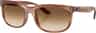 Colour: Striped Brown - Clear Gradient Brown
