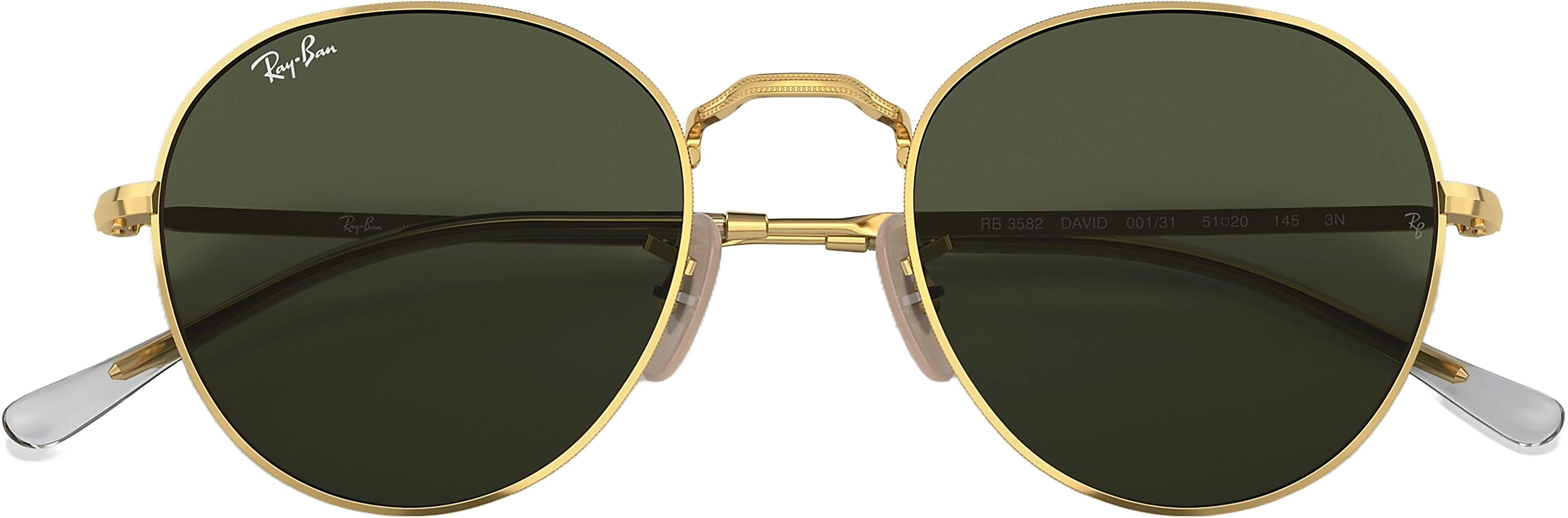 Product gallery image number 3 for product David Sunglasses 