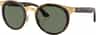 Couleur: Havana On Gold - Photo Clear To Grey - Green
