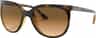 Colour: Light Havana - Clear Gradient Brown