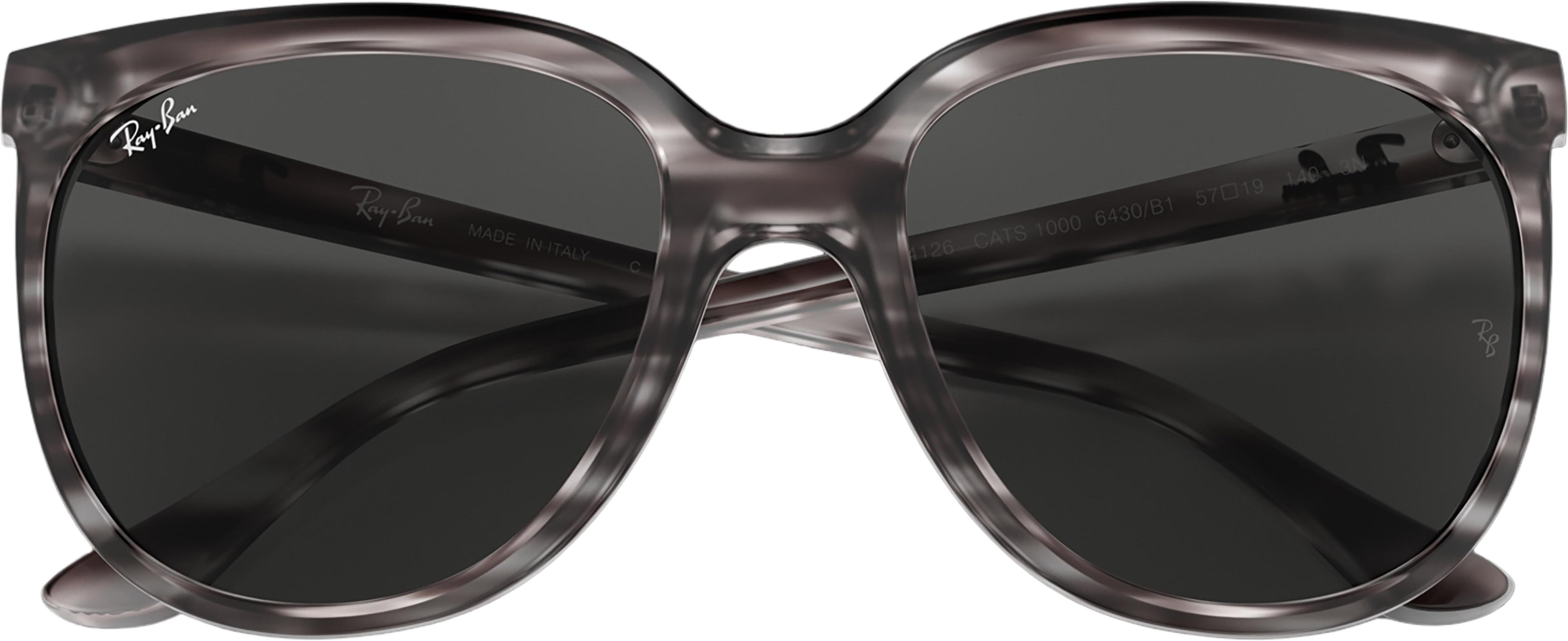 Numéro de l'image de la galerie de produits 7 pour le produit Lunettes de soleil Cats 1000