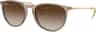 Colour: Transparent Light Brown Brown Gradient Dark Brown