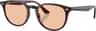 Colour: Transparent Brown Brown