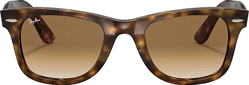 Product image for Wayfarer Ease Non-Polarized Sunglass - Unisex