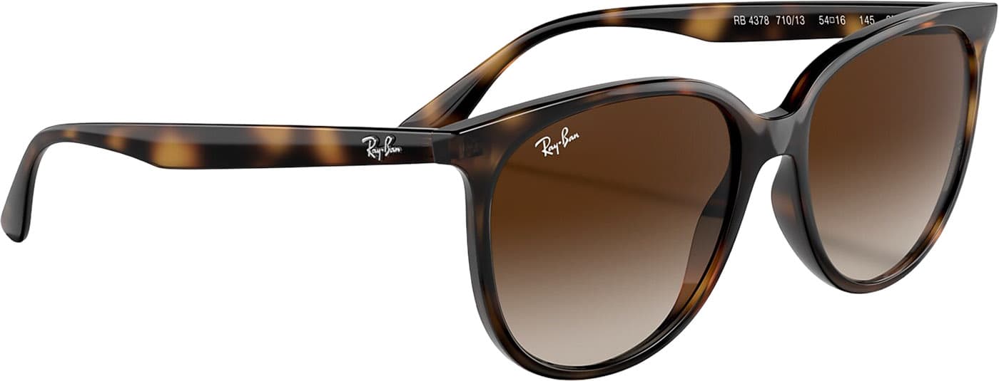 Numéro de l'image de la galerie de produits 6 pour le produit Lunettes de soleil RB4378 - Polished Havana - Verres Gradient Brown - Unisexe
