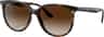 Couleur: Havana - Gradient Brown