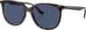 Couleur: Havana - Dark Blue