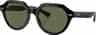 Colour: Black - Green Polar