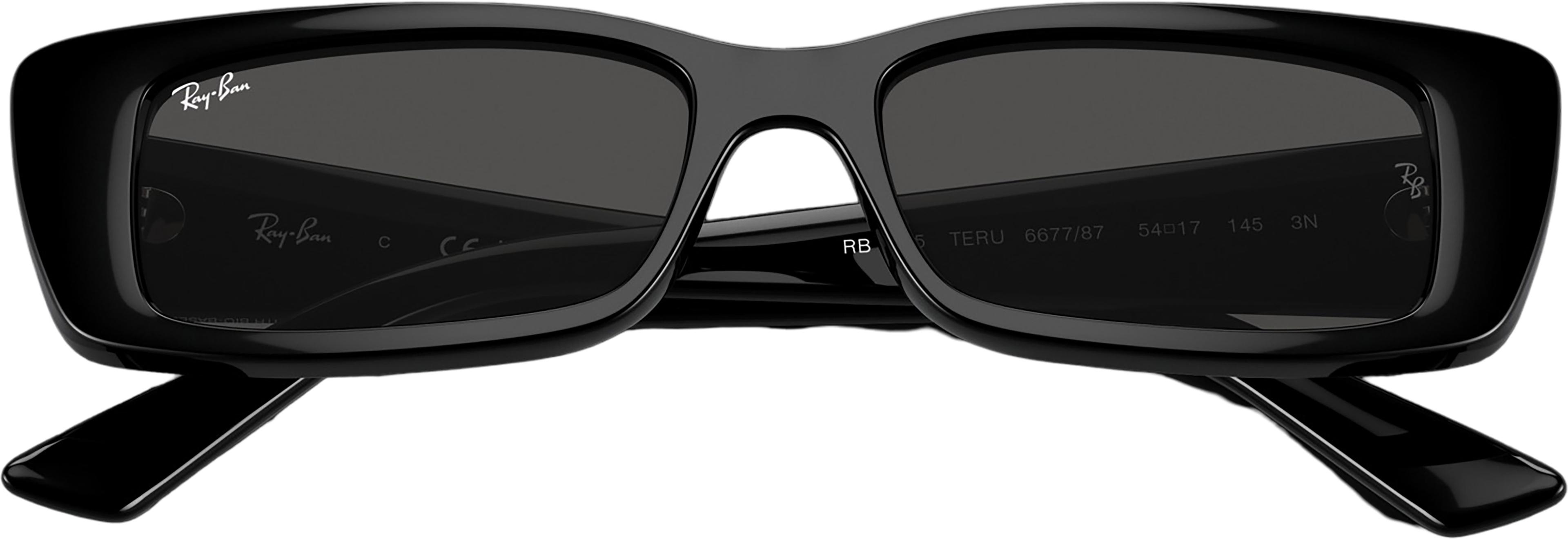 Image de produit pour Lunettes de soleil Teru Bio-Based RB4425 - Polished Black - Verres Dark Grey - Unisexe