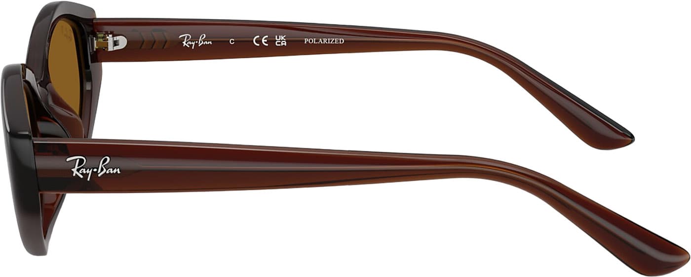 Product gallery image number 4 for product RB4473D Sunglasses - Polished Dark Brown - Dark Brown Polarized Lens - Unisex