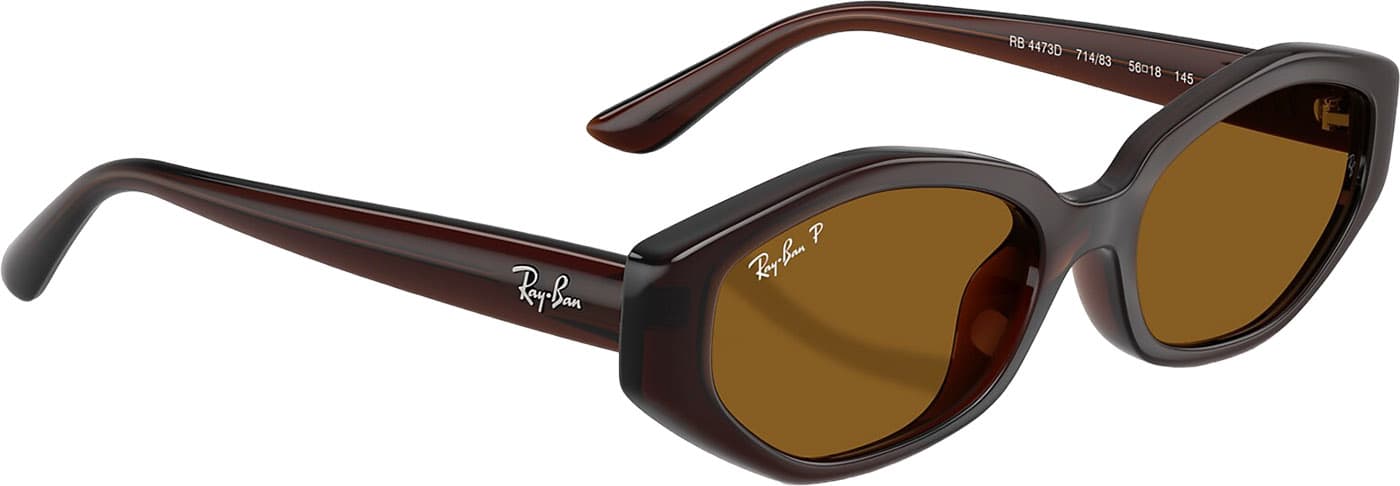 Product gallery image number 6 for product RB4473D Sunglasses - Polished Dark Brown - Dark Brown Polarized Lens - Unisex