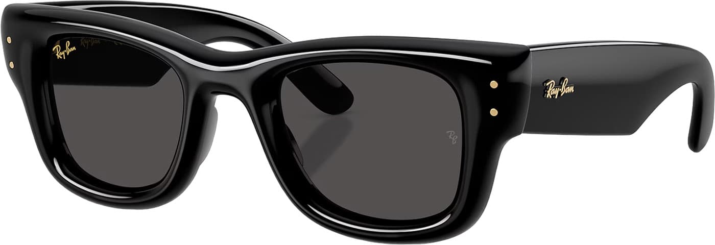 Product image for Wayfarer Puffer Sunglasses - Polished Black - Ultra Black Lens - Unisex