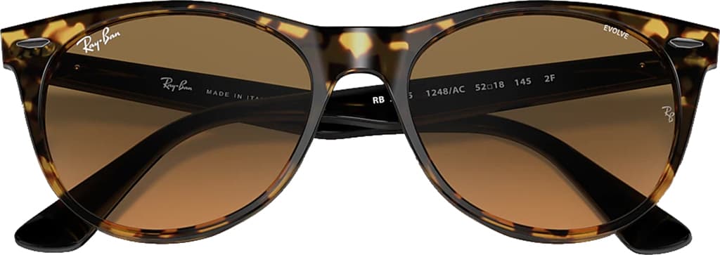Product gallery image number 3 for product Wayfarer II Classic Non-Polarized Sunglass - Unisex