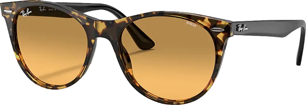 Product gallery image number 6 for product Wayfarer II Classic Non-Polarized Sunglass - Unisex