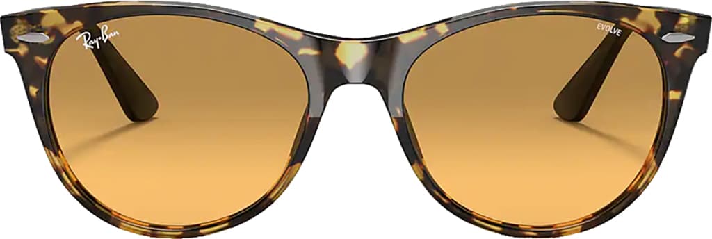 Product gallery image number 1 for product Wayfarer II Classic Non-Polarized Sunglass - Unisex