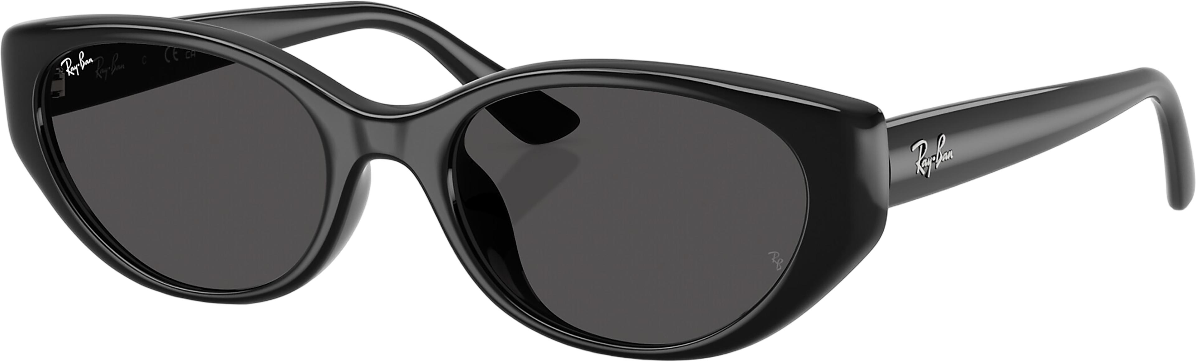 Product gallery image number 1 for product RB4457D Bio-Based Sunglasses - Polished Black - Dark Grey Lens