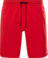 Couleur: Vector Red