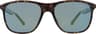 Couleur: Dark Havanna - Smoke - Olive Mirror Pol