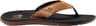 Couleur: Black And Tan