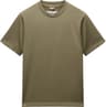 Colour: Cypress