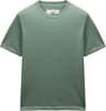 Colour: Sage