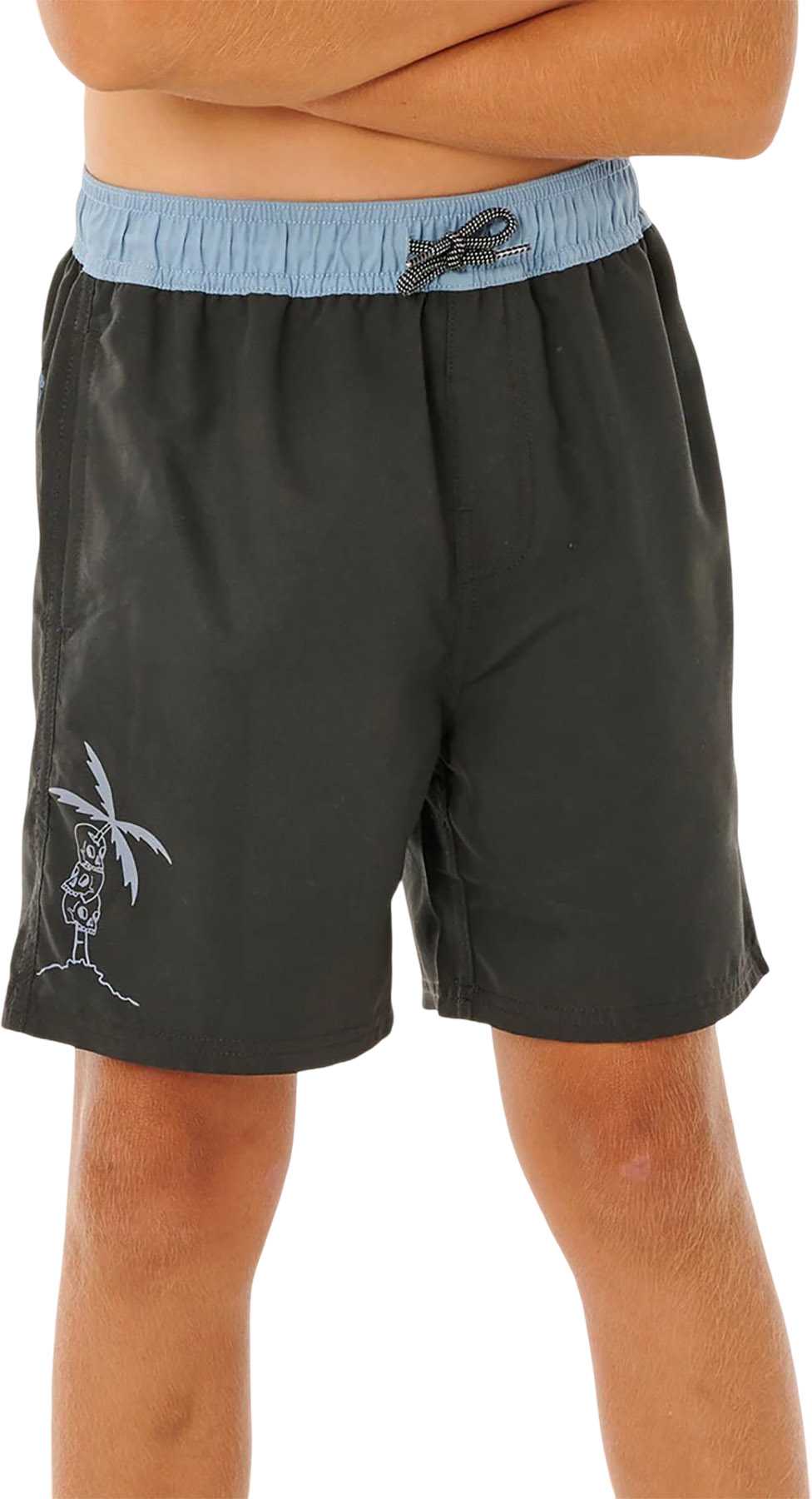 Product image for Eternal Shred Block Volley Boardshorts - Boys