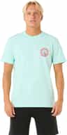 Colour: Light Aqua
