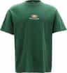 Couleur: Mountain Green