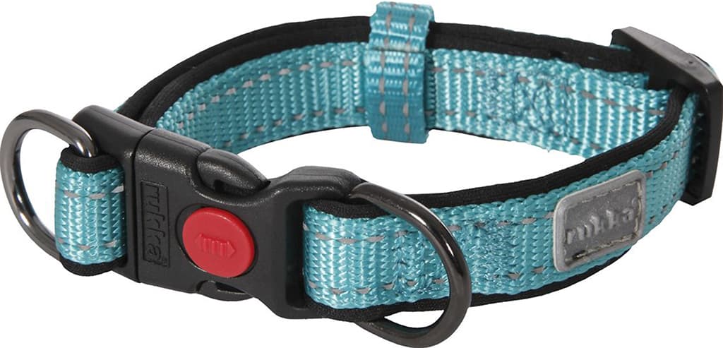 Product image for Solid Dog Collar - Medium