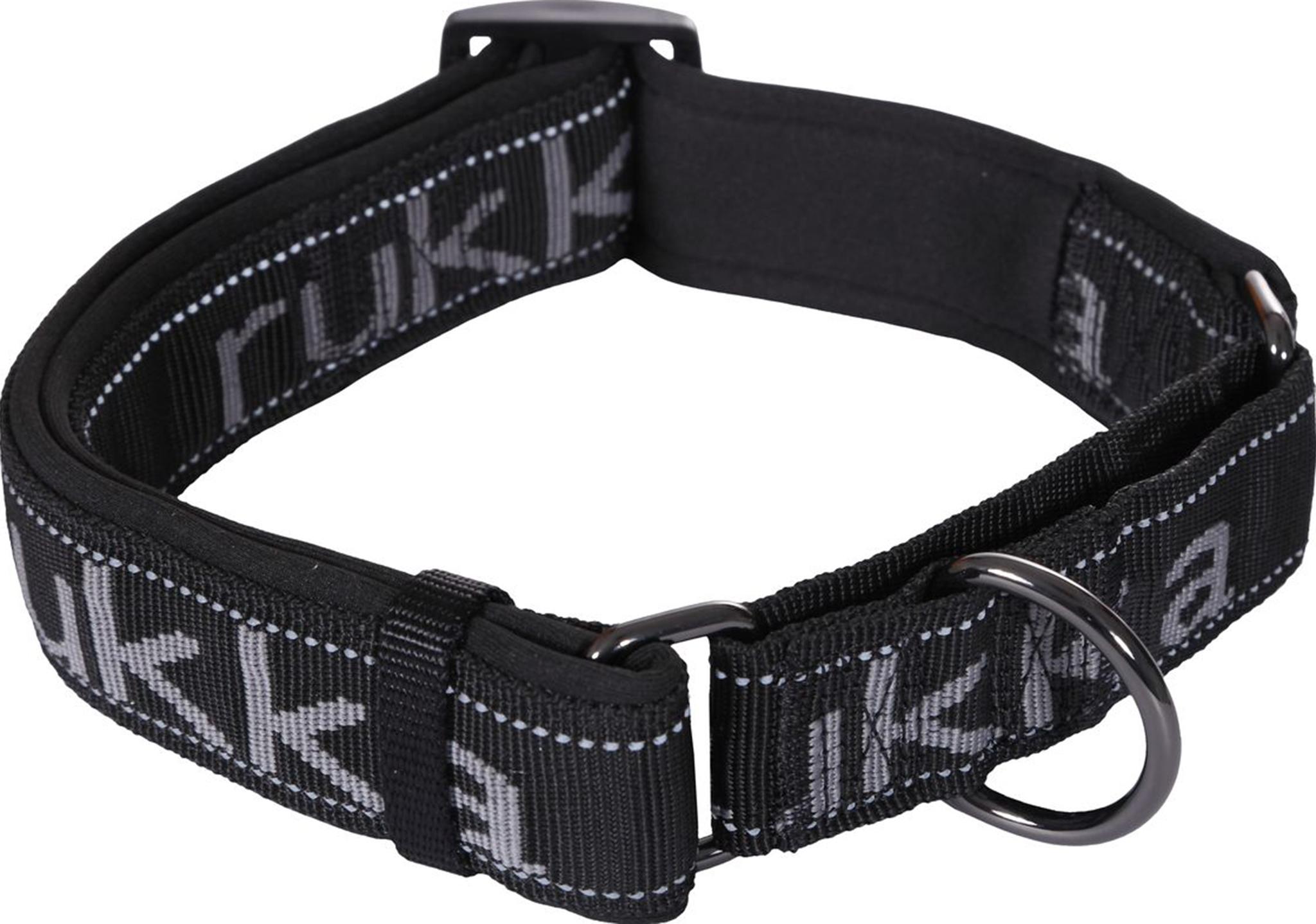 Product image for Solid Web Dog Collar - Large