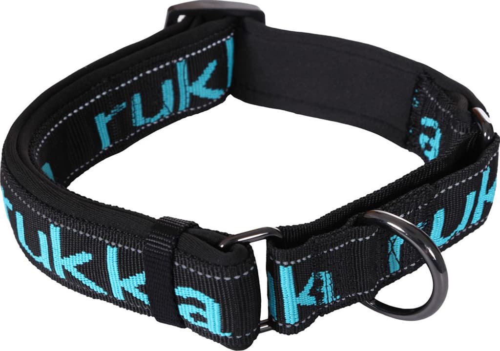 Product image for Solid Web Dog Collar - Medium