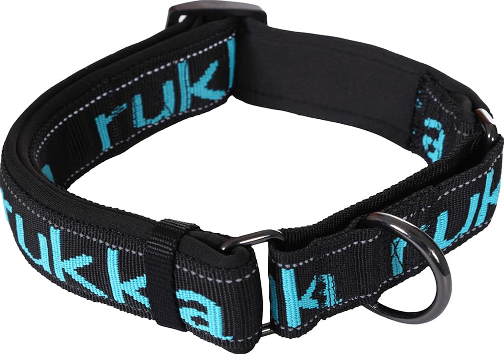 Product image for Solid Web Dog Collar - Small