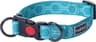 Colour: Turquoise