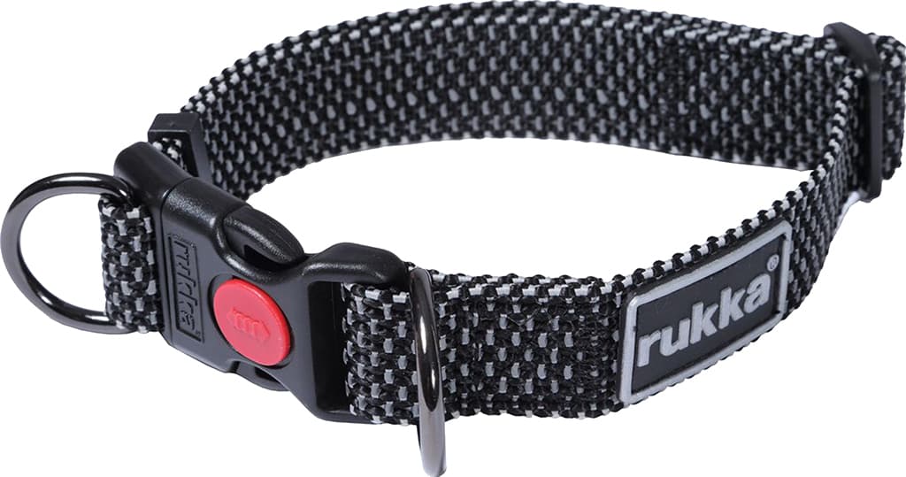Product image for Star Dog Collar - Medium