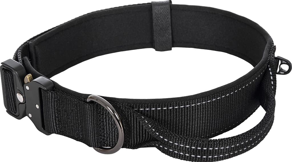Product image for Mission Dog Collar - Medium