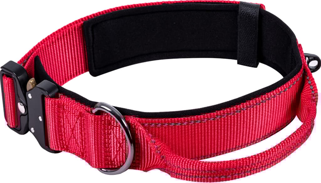 Product image for Mission Dog Collar - Large
