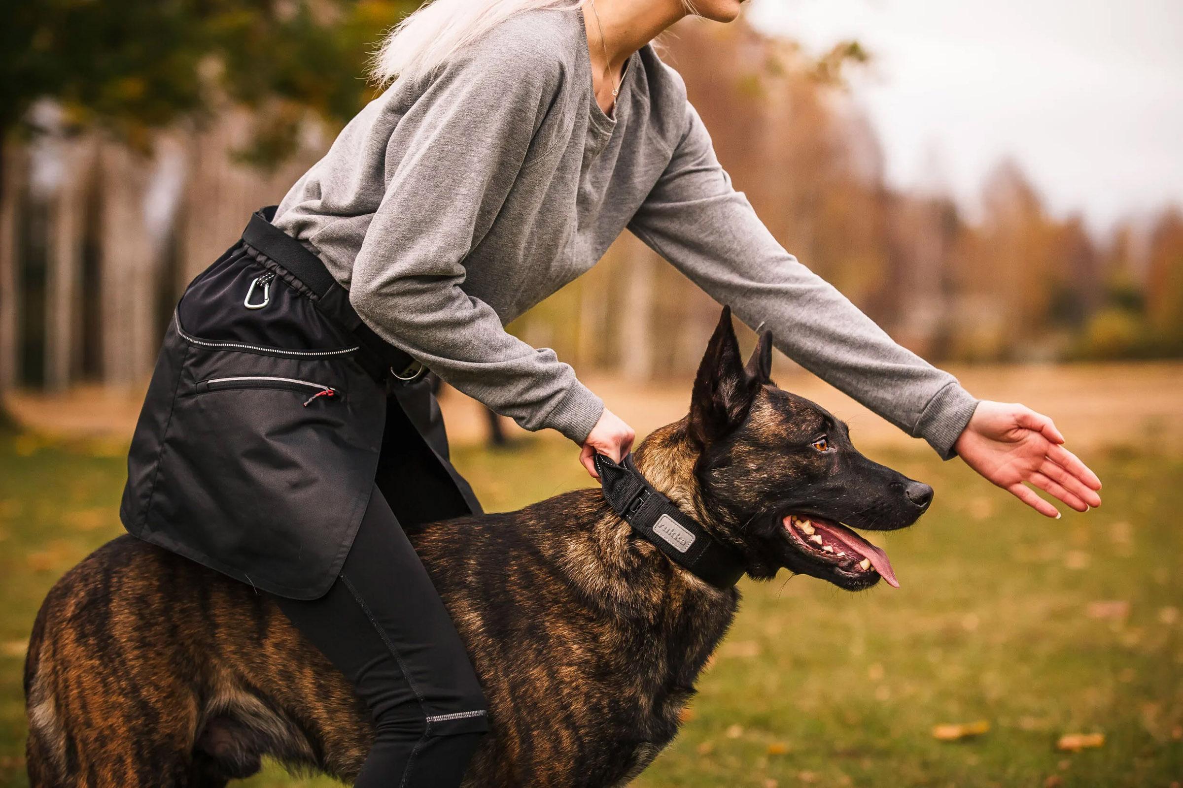 Product gallery image number 4 for product Collier de chien Mission - Petit