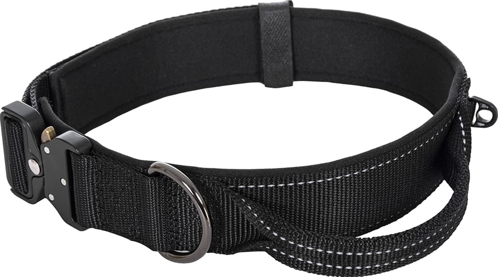 Product image for Mission Dog Collar - Small