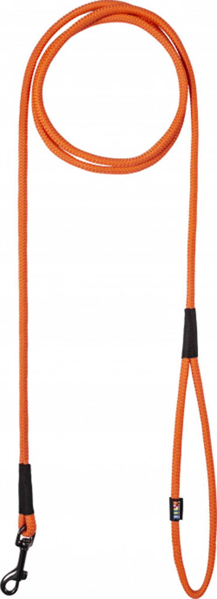 Product image for Swim Dog - Leash - Large