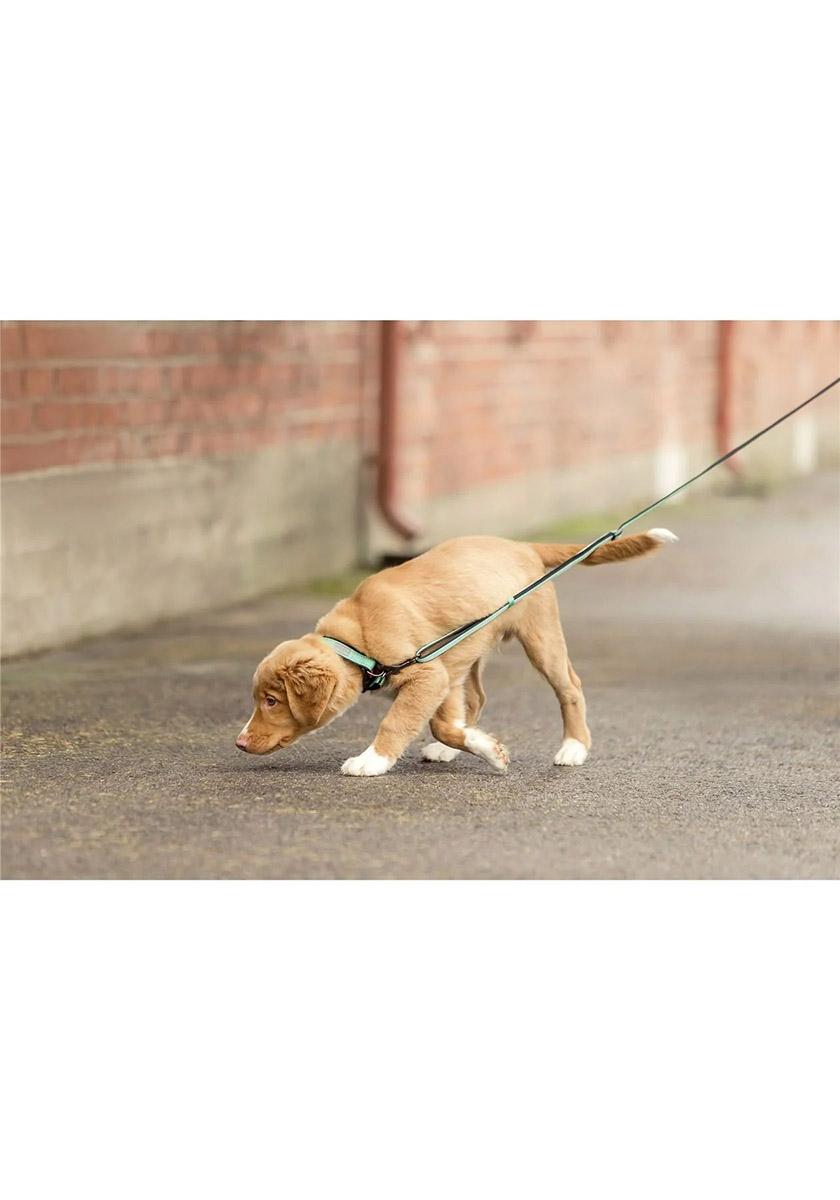 Product gallery image number 3 for product Grip Round Dog Leash