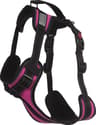 Colour: Hot Pink
