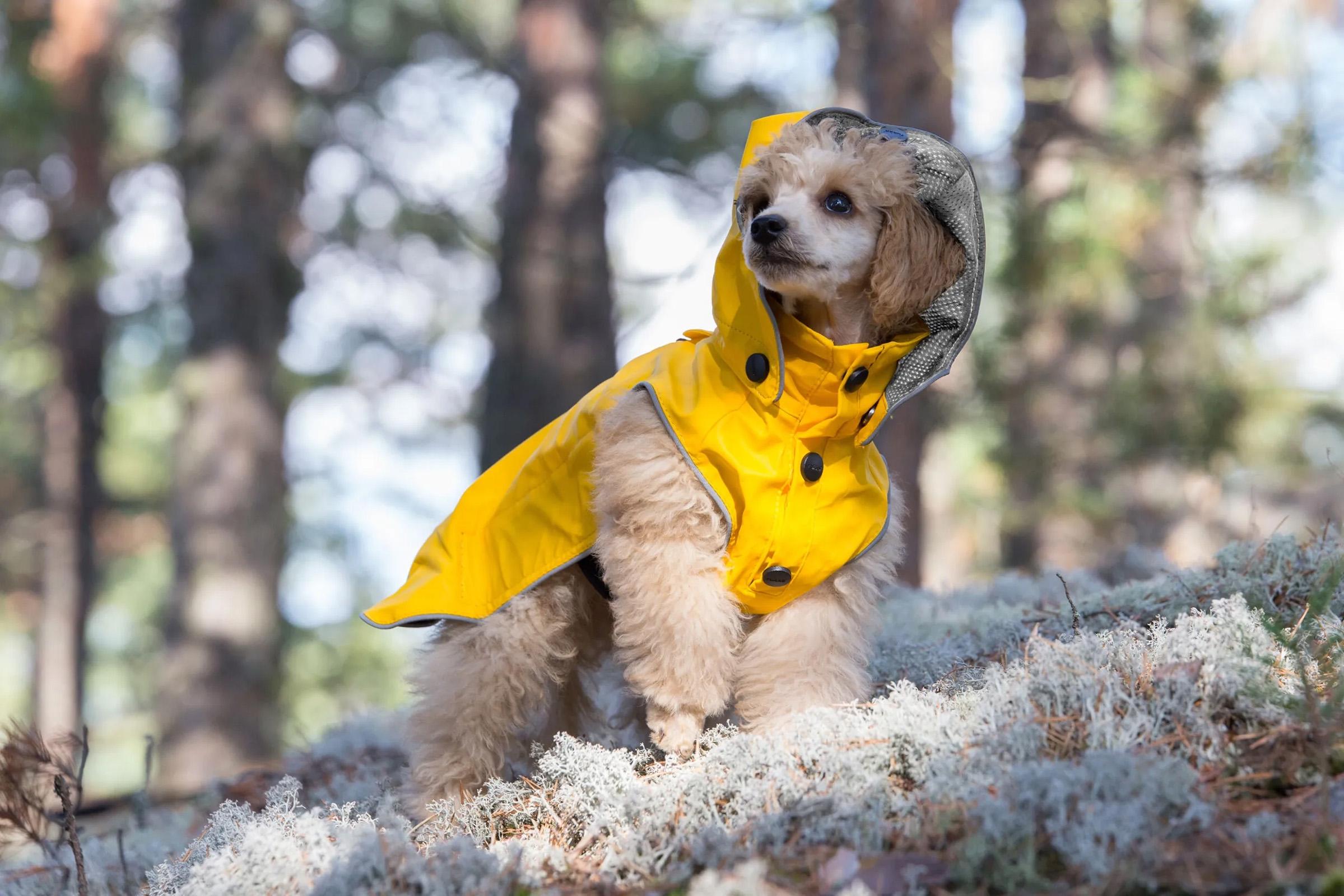 Numéro de l'image de la galerie de produits 4 pour le produit Imperméable pour chien Stream - 25/30